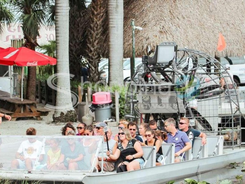 Airboat tour and wildlife show in Miami - Tour in  Miami