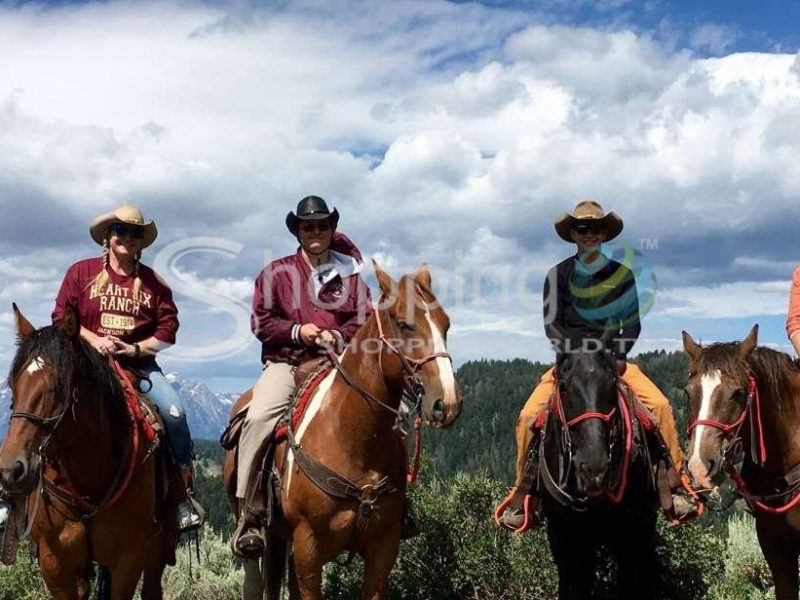 Bridger teton national forest horseback ride in Wyoming - Tour in  Wyoming