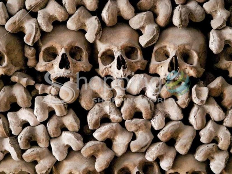 Crypts & Catacombs Tour With Bone Chapel & Transfers In Rome - Tour in  Rome