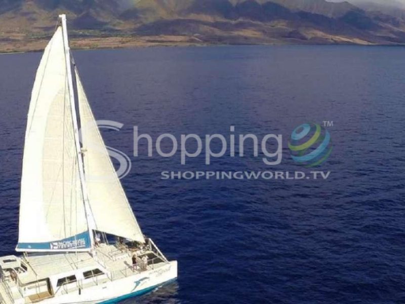 Dolphin sailing adventure with lunch and drinks in USA - Tour in Hawaii