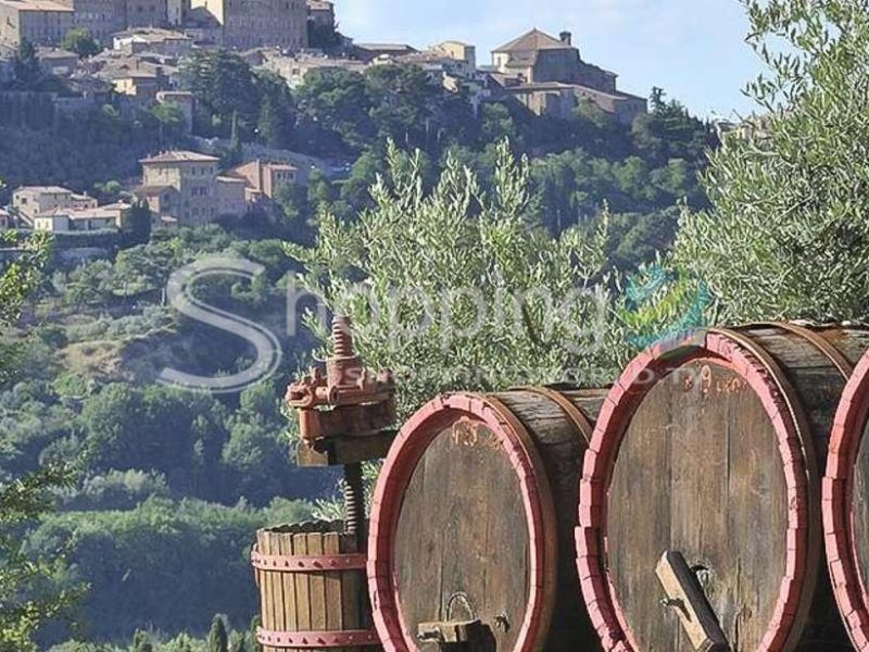 From Florence Pienza And Montepulciano Guided Wine Tour In Florence - Tour in  Florence