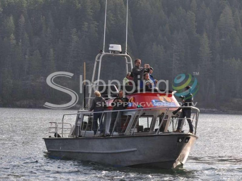 Full-day grizzly bear tour at toba inlet in Canada - Tour in Prince Edward Island