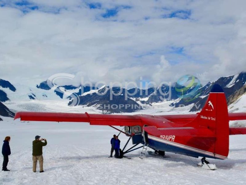 Grand denali flight with optional glacier landing in Alaska - Tour in  Alaska
