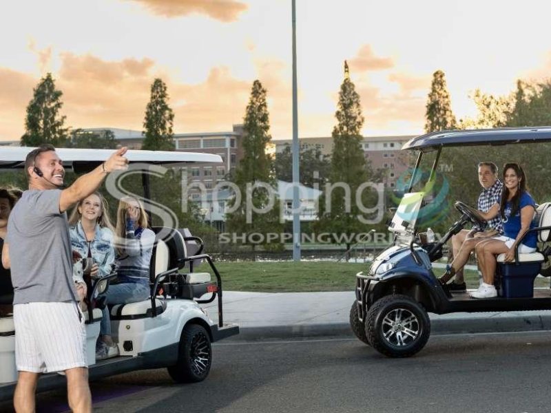 Guided city tourdeluxe street golf cart in USA - Tour in Tampa