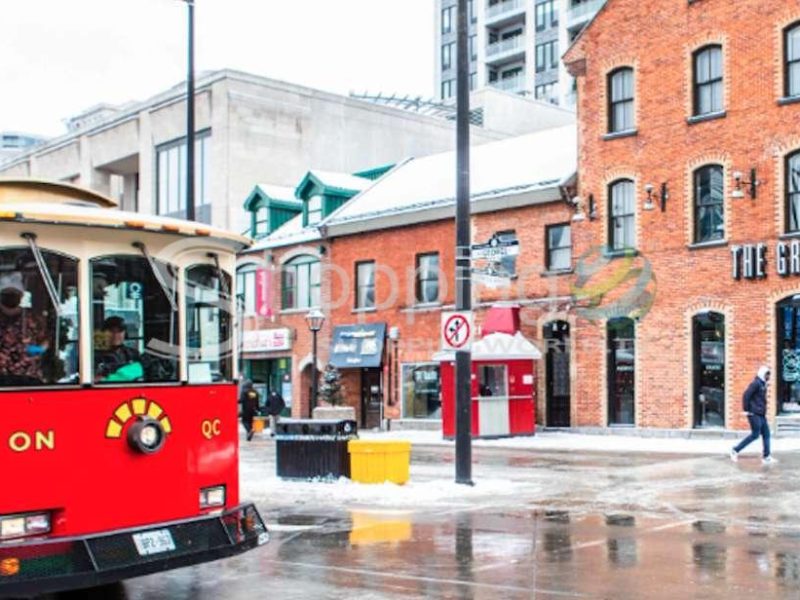 Hop on hop off winter tour by vintage bus in Ottawa - Tour in  Ottawa