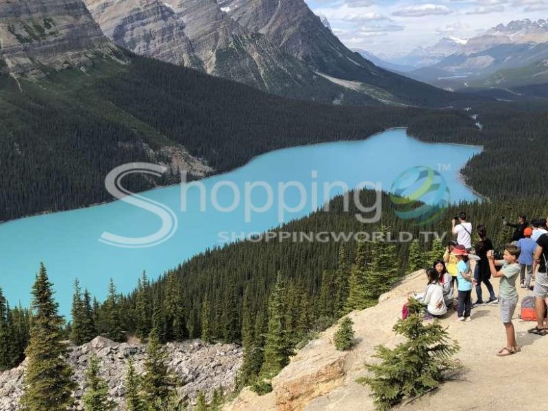 Icefield parkway scenic tour with park entry in Canada - Tour in Banff