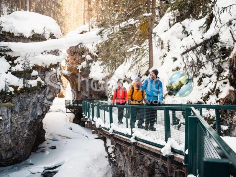 Morning or afternoon johnston canyon icewalk in Banff - Tour in  Banff