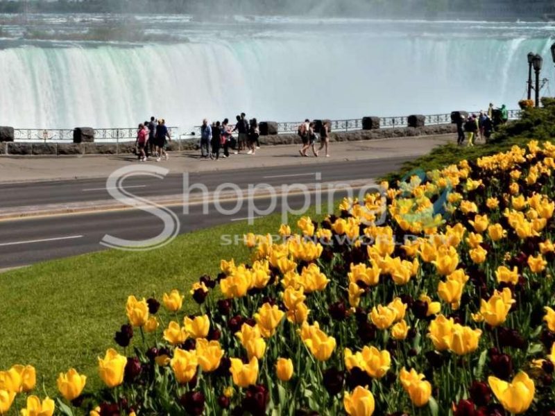 Niagara falls day trip in Canada - Tour in Toronto