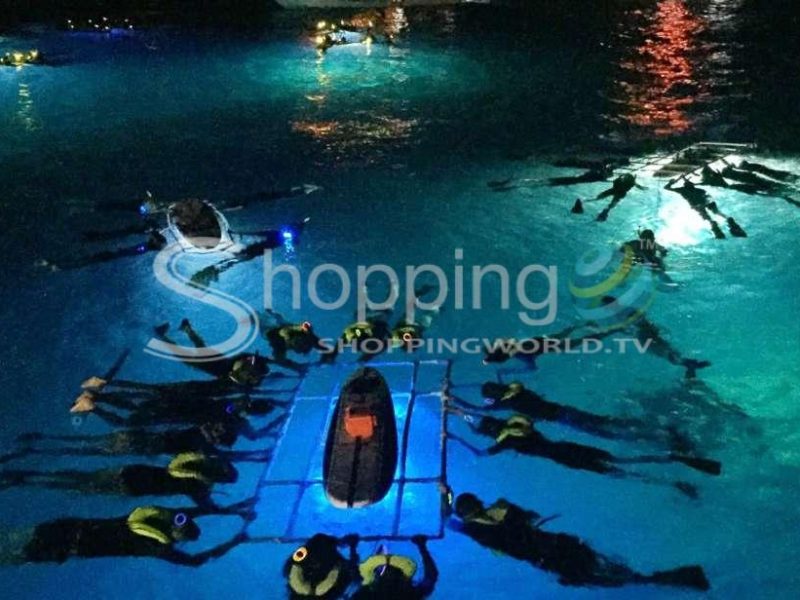 Night manta ray snorkel experience in Hawaii - Tour in  Hawaii