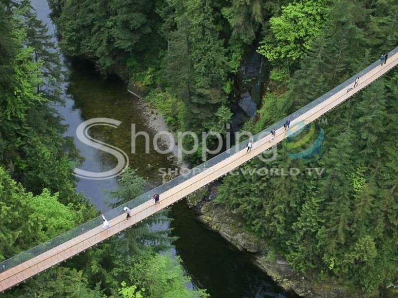North shore capilano suspension bridge & grouse mountain in Vancouver - Tour in  Vancouver
