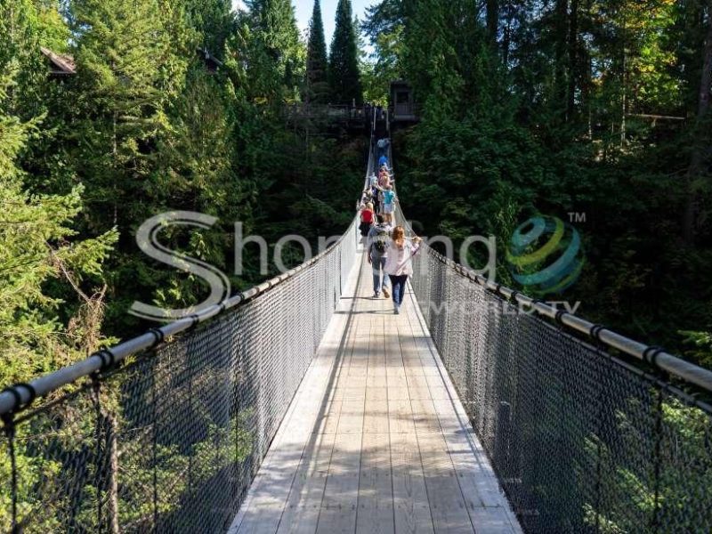 North vancouver & capilano suspension bridge tour in Vancouver - Tour in  Vancouver