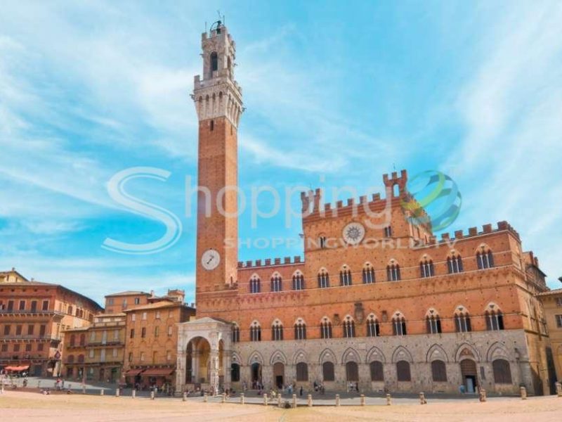 Palazzo Pubblico Entry Ticket In Siena - Tour in  Siena