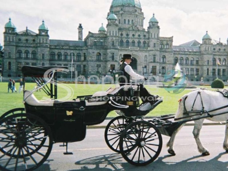 Royal carriage tour in Victoria - Tour in  Victoria