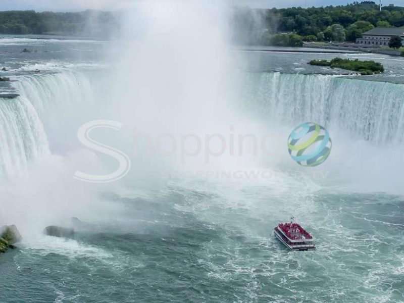 Small group half-day sightseeing tour in Ontario - Tour in  Ontario