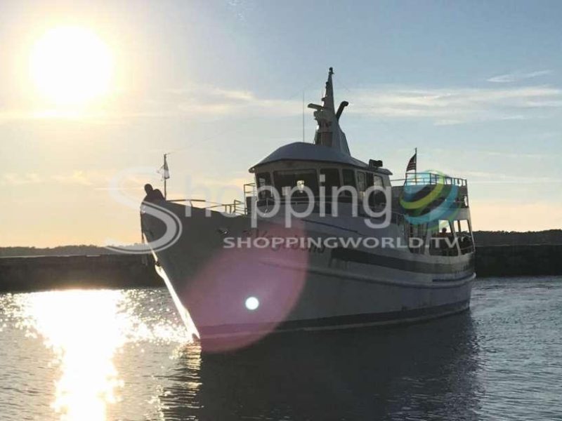 Sunset dolphin cruise in Hilton Head Island - Tour in  Hilton Head Island