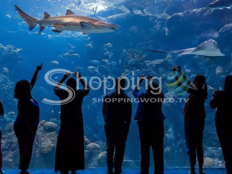 The florida aquarium skip the line entrance in Tampa - Tour in  Tampa