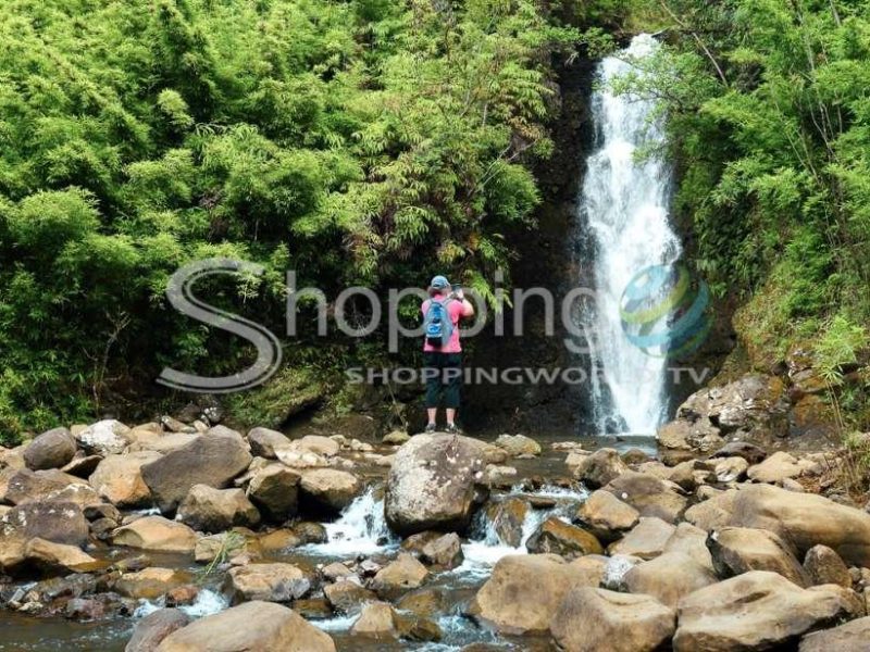 Waterfall & rainforest hiking tour with picnic lunch in USA - Tour in Hawaii
