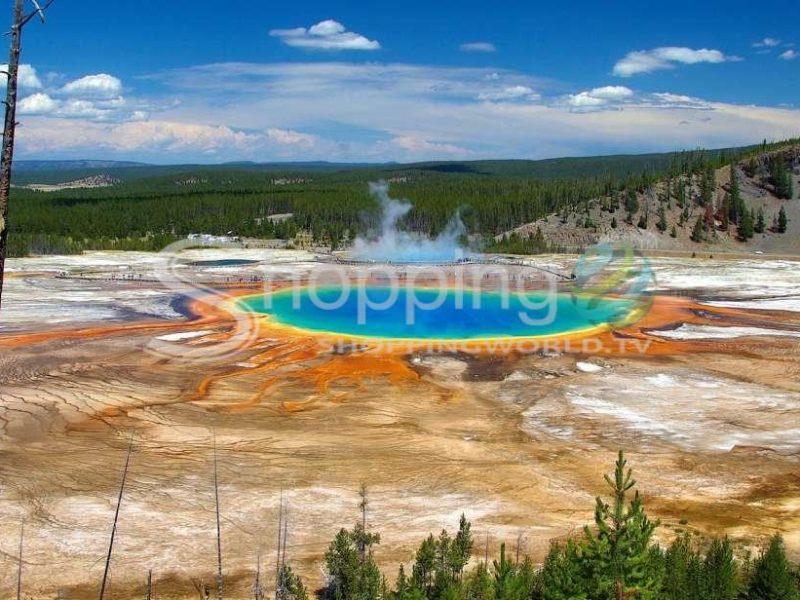 Yellowstone day tour including entrance fee in Wyoming - Tour in  Wyoming